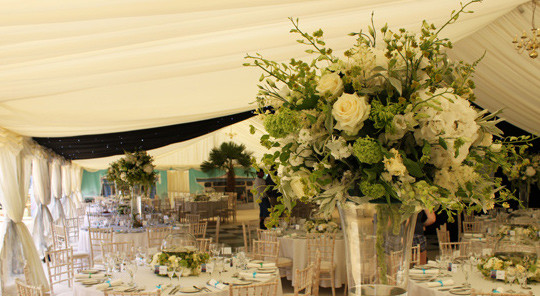 black and white marquee linings