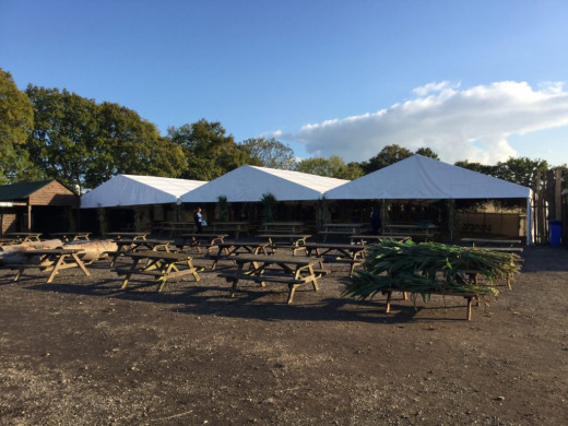 Canopy hire for festivals and events